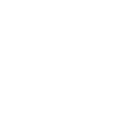CatSkill Logo