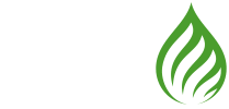 CBD source logo
